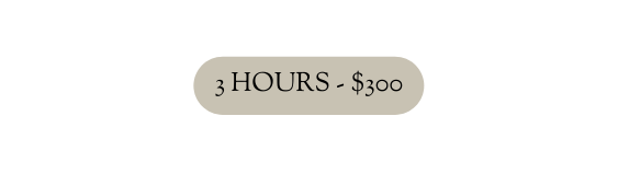 3 hours 300